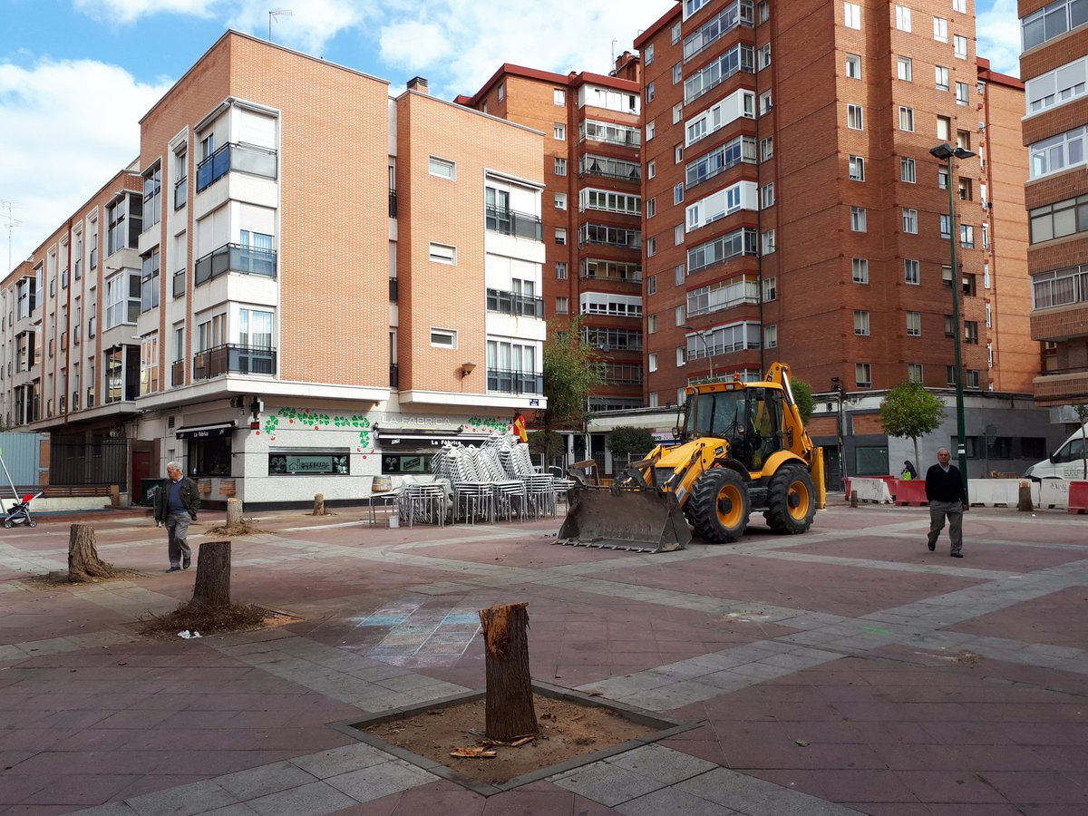 abogadoARS's tweet photo. Hola @AyuntamientoVLL @mariatuitea me gustaría saber el motivo de la tala en plaza de la danza de #Valladolid y si será replantado gracias https://t.co/mJby0wN22V