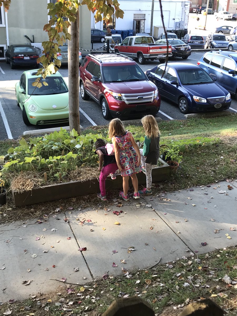 AnnasClass's tweet photo. “Anna, can we please check the garden?” #gardeningwithkids https://t.co/o7fQbJINDA
