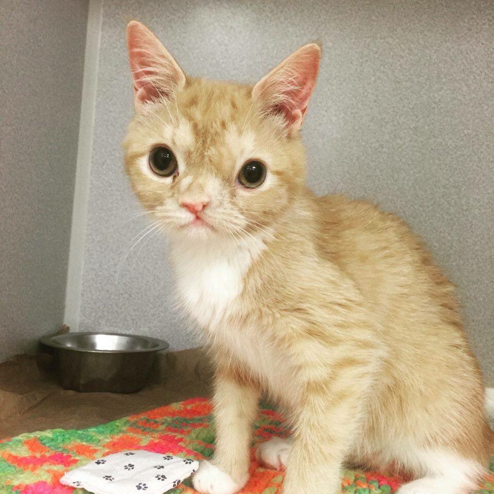 Happy Friday. Have a Smush.