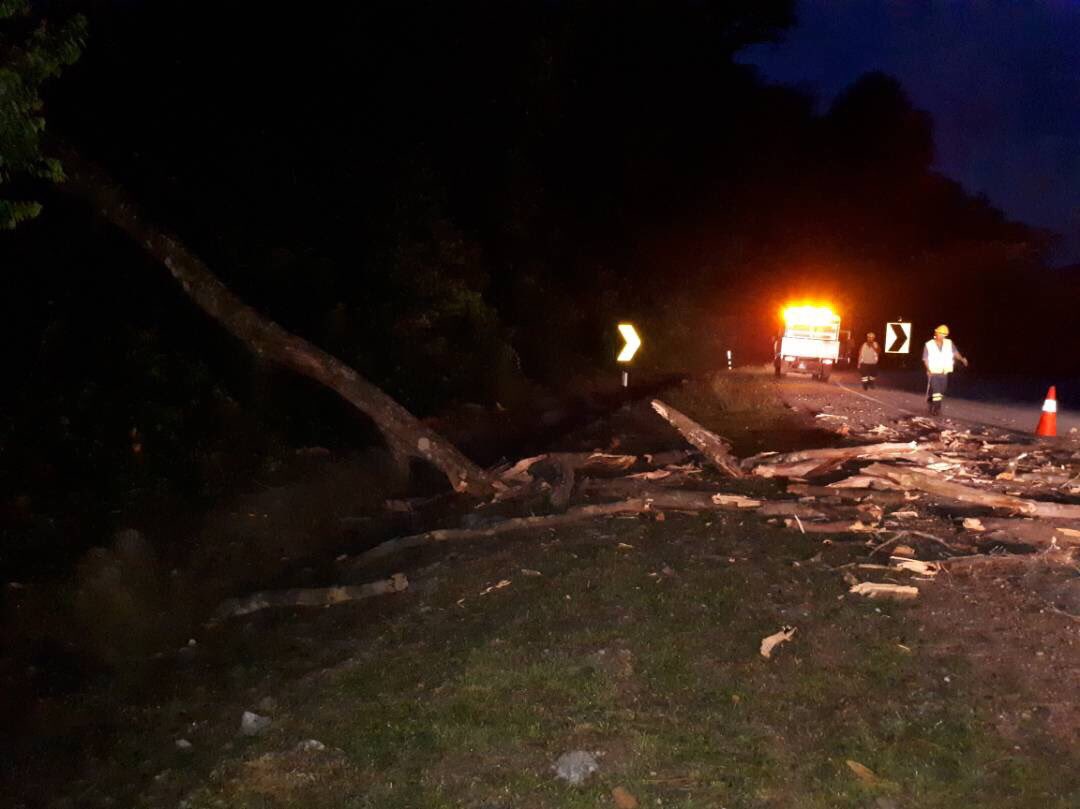 RC_temerloh's tweet photo. Bersih pokok tumbang ft02 sec198.8 #InfraRakyat #teamroadcare @JKRTemerloh @Roadcare_Msia @JKRPAHANG @Roadcare_Phg @MOWorks https://t.co/asrbvhwgQP