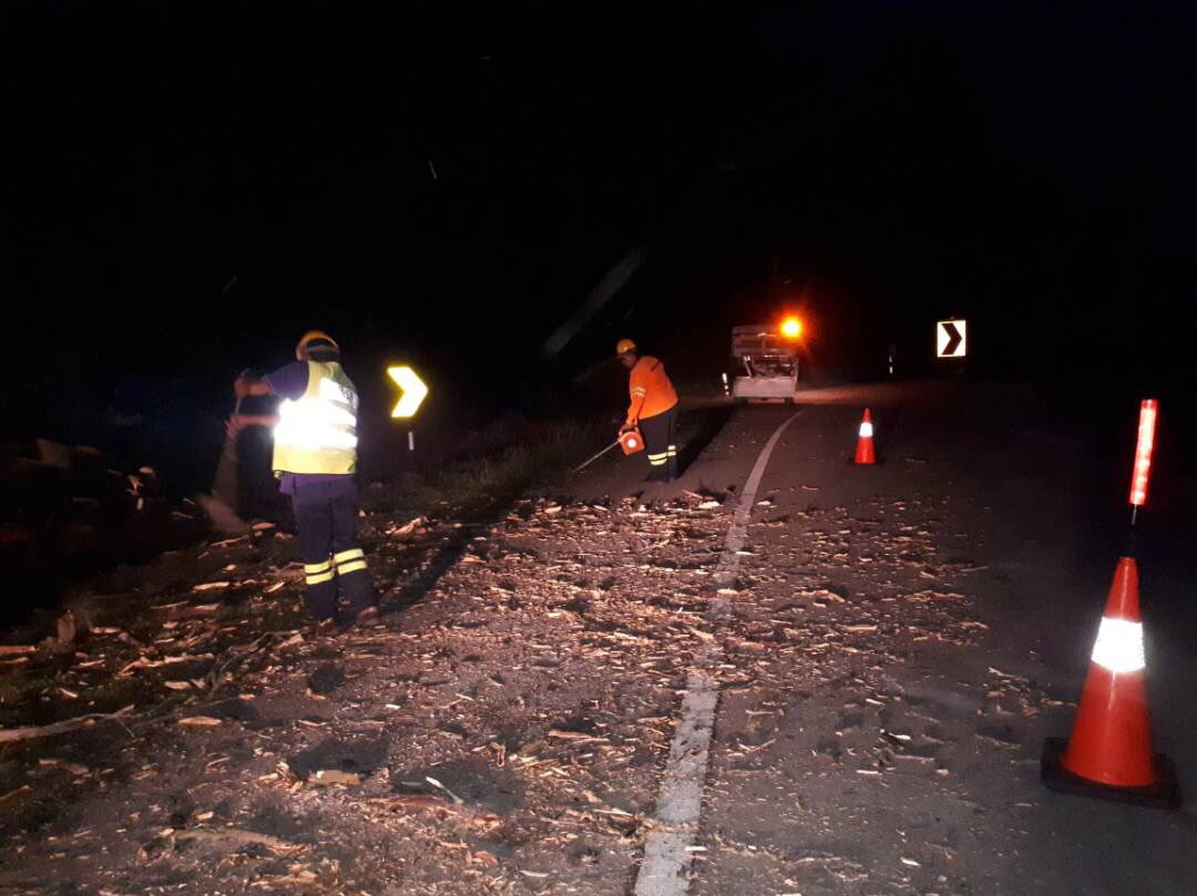 RC_temerloh's tweet photo. Bersih pokok tumbang ft02 sec198.8 #InfraRakyat #teamroadcare @JKRTemerloh @Roadcare_Msia @JKRPAHANG @Roadcare_Phg @MOWorks https://t.co/asrbvhwgQP