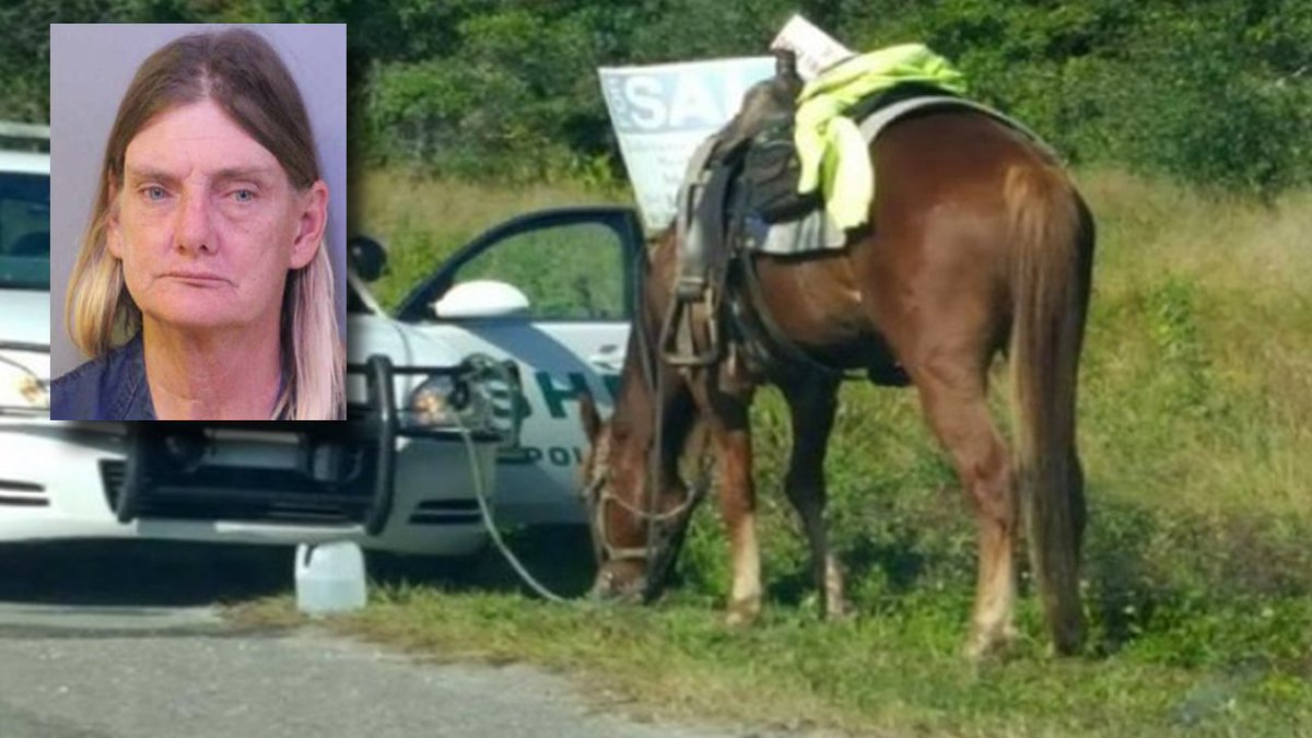 Florida woman arrested for DUI -- on a horse bit.ly/2zupWOw?utm_so… https://t.co/DPEpuBfV7E