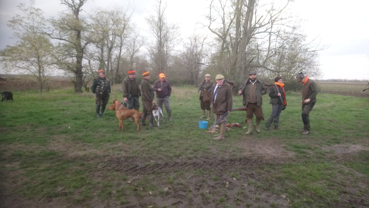 Wildgreys's tweet photo. Great day on wild pheasants at grey partridge reintroduction site in Hungary https://t.co/K8uwNBhS8W