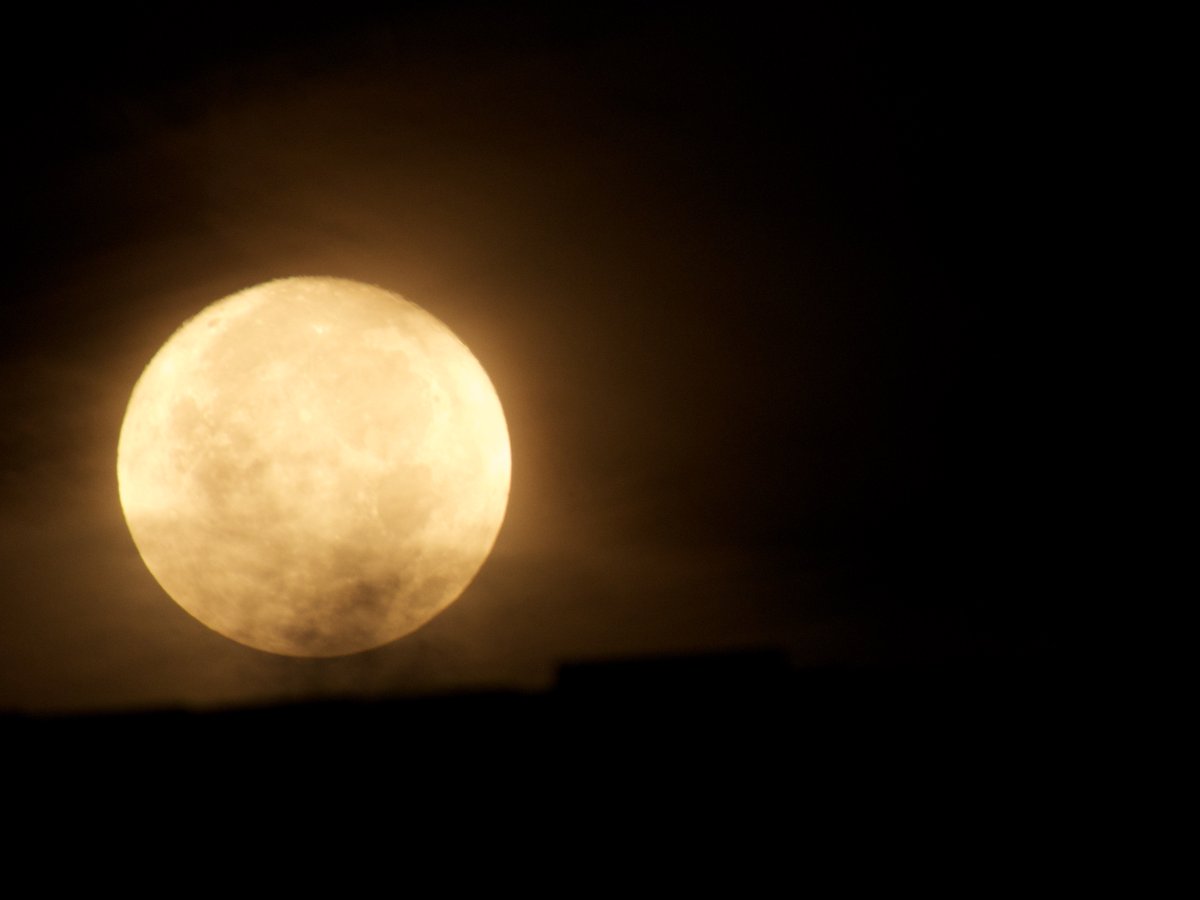 F3inGoderich's tweet photo. Oh you Waxing Gibbous Moon phase..how you wreak havoc on me! 0430 and out taking your picture ๐ #notquitefullmoon #beautifulglow @MurphTWN https://t.co/wuaNIdXPav
