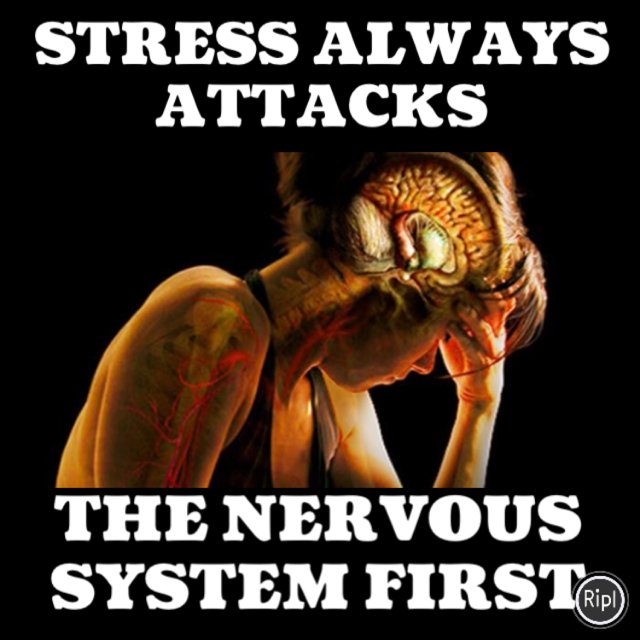 jesseellisdc's tweet photo. #stress, #chiropractic, #nervous system via https://t.co/EUgbbE5yBm https://t.co/W5RWofK2W8