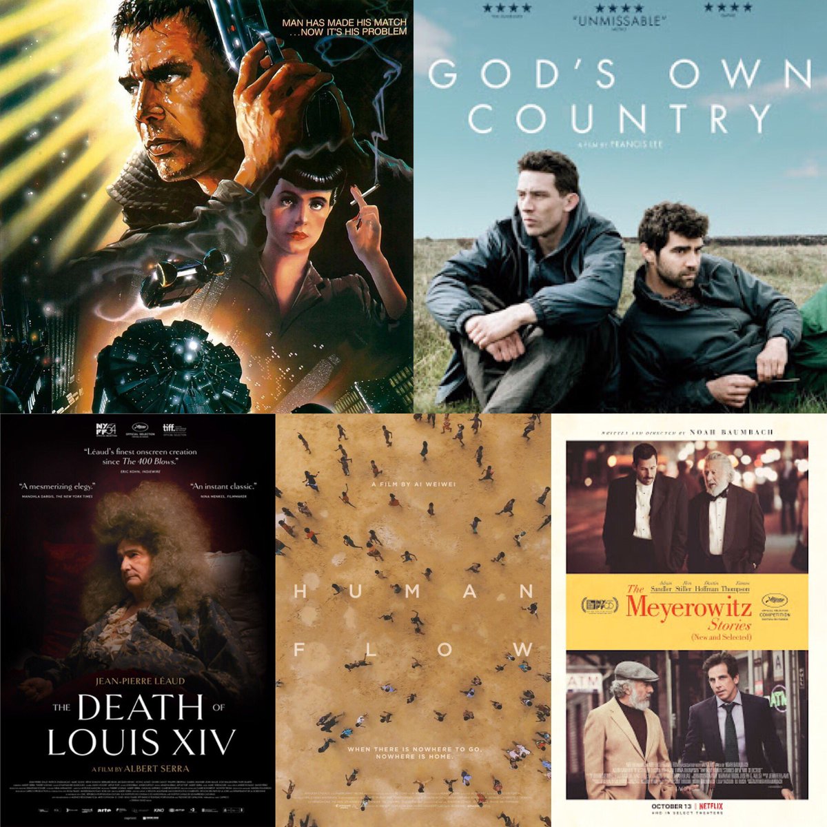 cinemattie's tweet photo. #Top5Views 10/17
1) BLADE RUNNER
2) GOD'S OWN COUNTRY
3) THE DEATH OF LOUIS XIV
4) HUMAN FLOW
5) THE MEYEROWITZ STORIES (NEW AND SELECTED) https://t.co/x1l0aFaalL