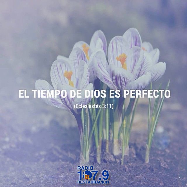 Restaura1079's tweet photo. #Restauracion1079 https://t.co/zp37Jdkzg6