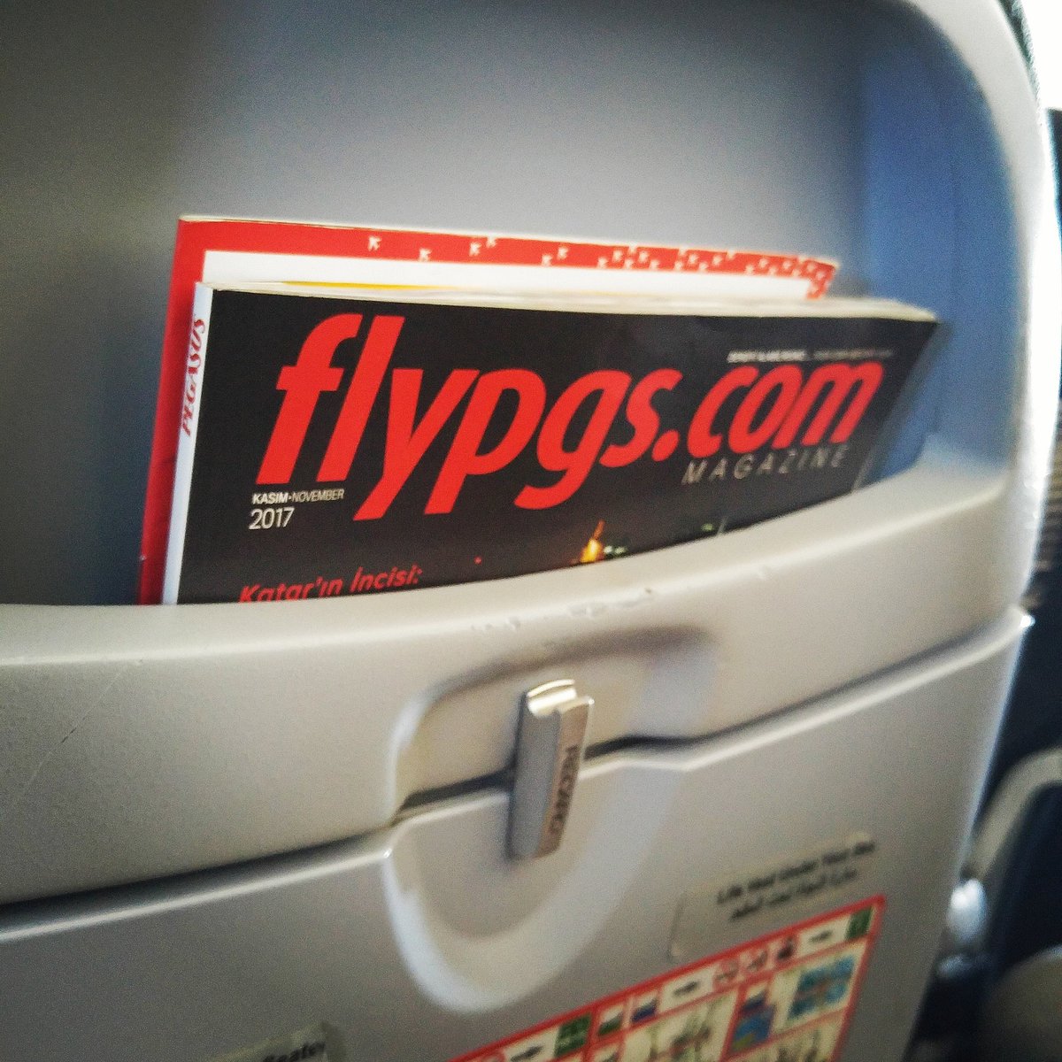 Mhtun_kay's tweet photo. Did a double take #flypigs https://t.co/yHEuvD1nKD