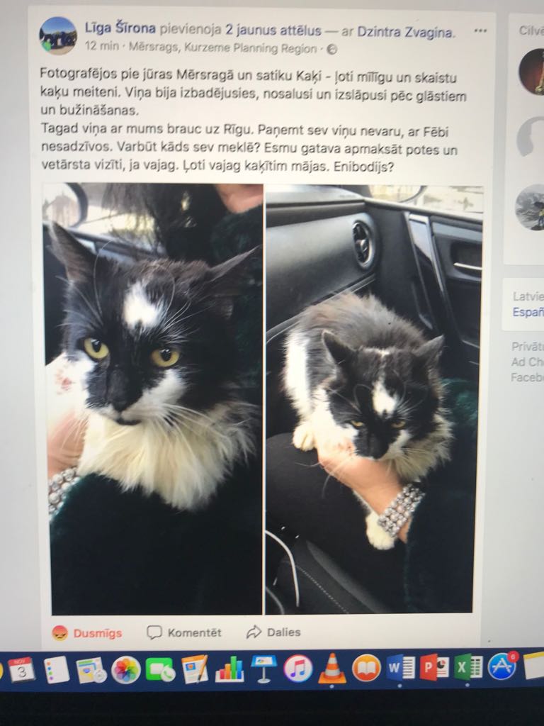 Tā meitenes Mērsragā, iespējams, kaķi nozaga...
<a href="/MNovads/">Mērsraga novads</a> un tās puses ļaudis, lūdzu RT
Varbūt kādā sētā raud, jo nesagaida atpaļ draugu...