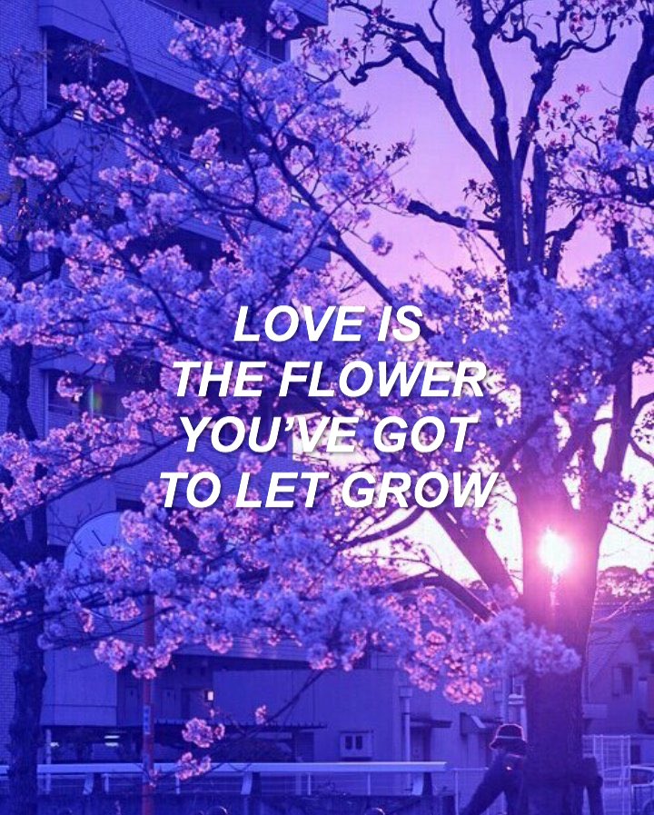 mxasquotes's tweet photo. Minhyuk // - John Lennon
cr: mood maker
#MINPUPPYDAY #1103HBDMINHYUK 🐶💜 https://t.co/iaTpNo7v5s