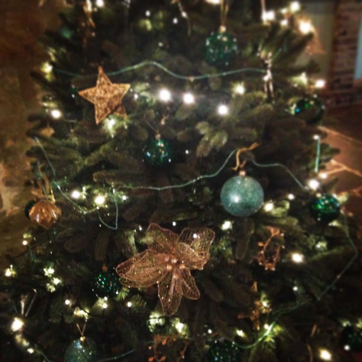 Christmas just around the corner 😁 make sure you check out our festive menus and opening hours on our website. 🎄
 
 thedukeofwellingtoninn.co.uk/christmas/