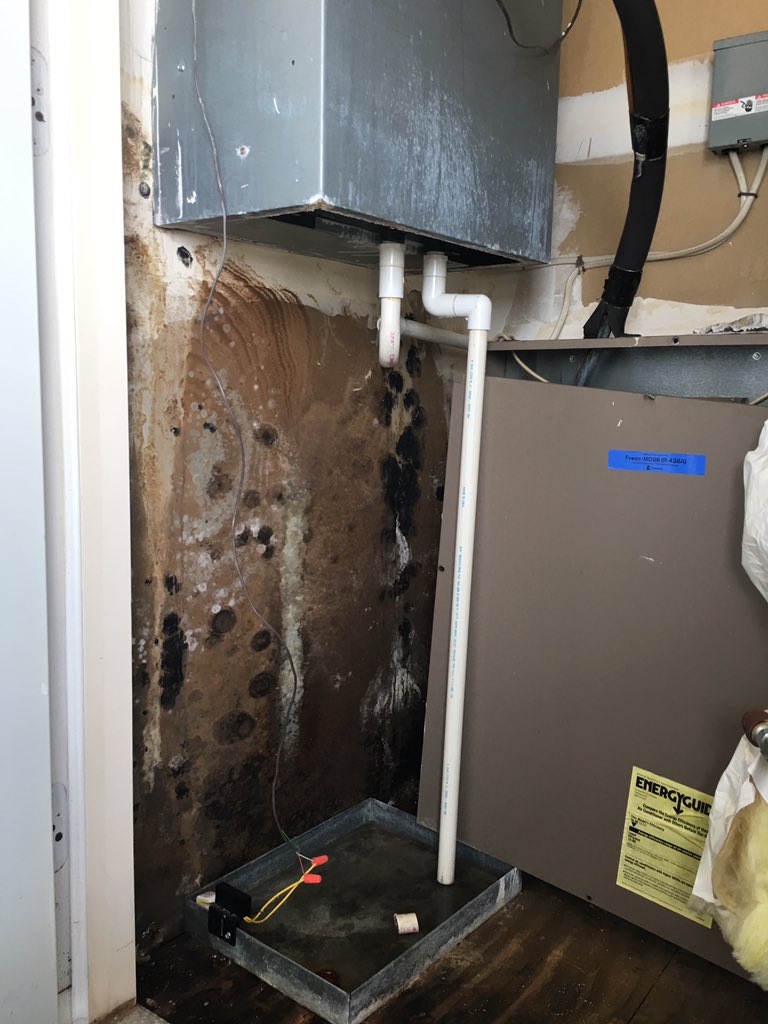 PeggyTV's tweet photo. Desperate elderly residents deal w/ no heat, mold &amp; broken a/c @ #ManchesterLakes Senior Living complex in FairfaxCounty's Kingstowne @wusa9 https://t.co/VanhLMV7e9
