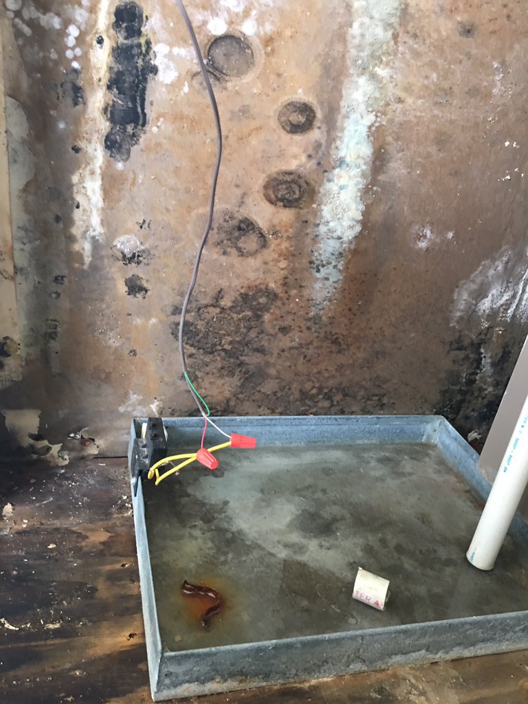 PeggyTV's tweet photo. Desperate elderly residents deal w/ no heat, mold &amp; broken a/c @ #ManchesterLakes Senior Living complex in FairfaxCounty's Kingstowne @wusa9 https://t.co/VanhLMV7e9