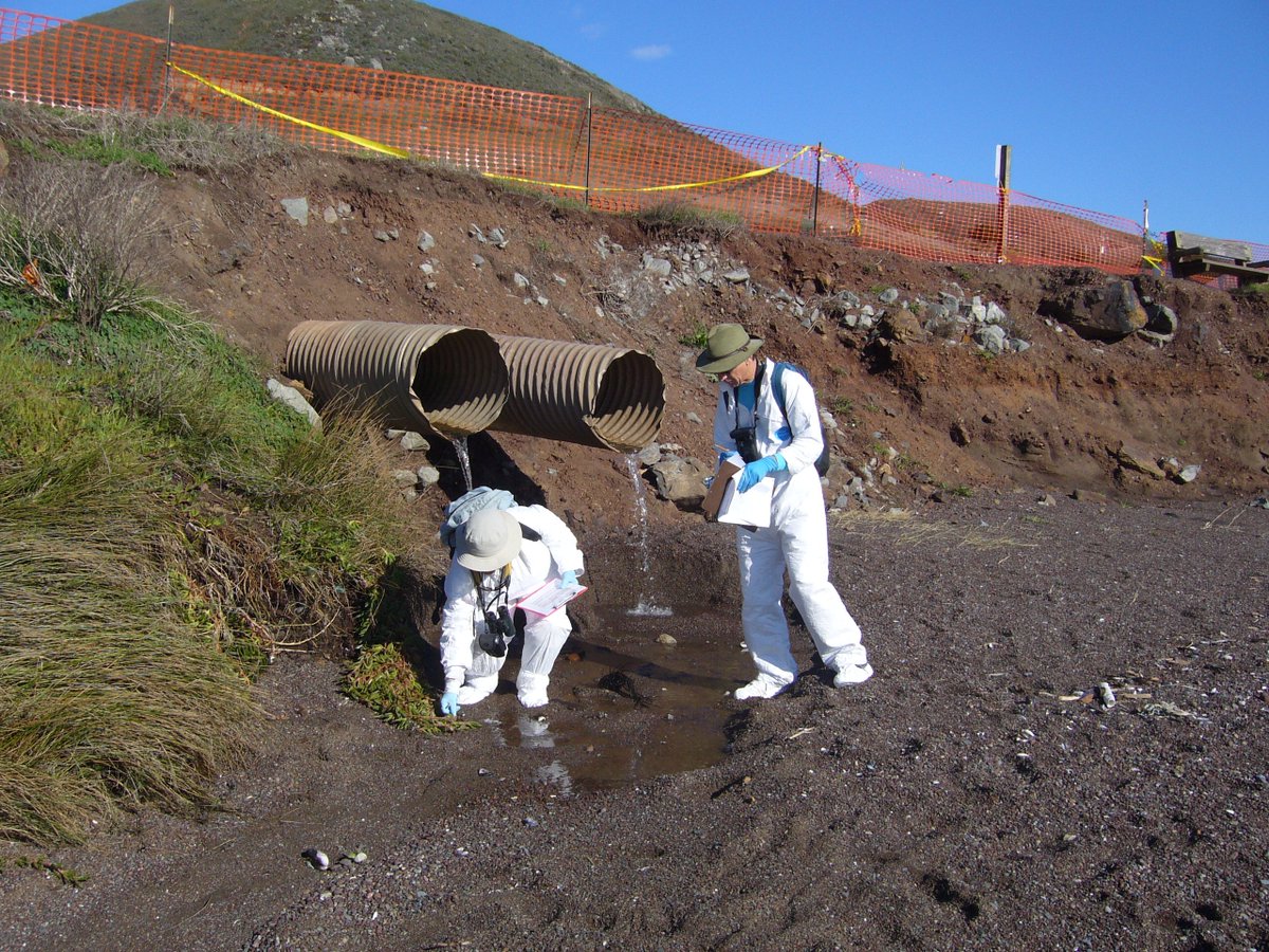 NOAACleanCoasts's tweet photo. Sentinels of the Coast: Surveying the Beaches After the #CoscoBusan #OilSpill
https://t.co/lq1R88q8zJ https://t.co/ZDgUeeQoir
