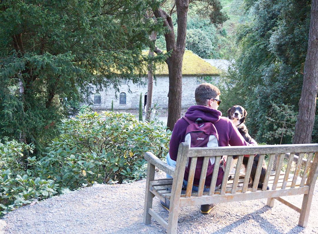 My FAVOURITE place to walk the dog. Dogs are welcome daily Nov - March @BodnantGardenNT <a href="/nationaltrust/">National Trust</a> #dogfriendly #northwales