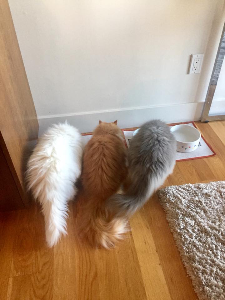 candykirby's tweet photo. My interns can't seem to tear themselves away from the snack bar. #GenerationZProblems https://t.co/EhOP7XIJ0V