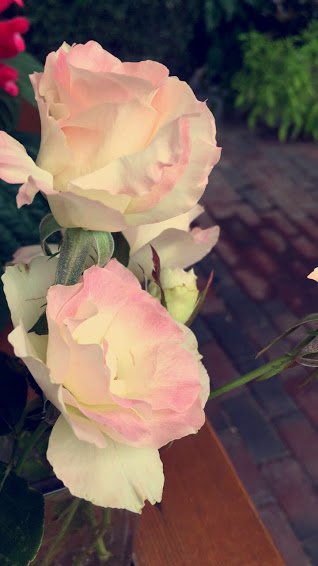 MariaKos7810's tweet photo. #chscolor https://t.co/1wOiXmNyTO