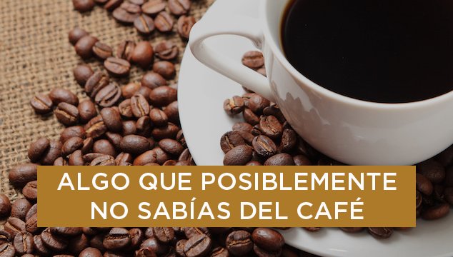 El Mostacho tweet media