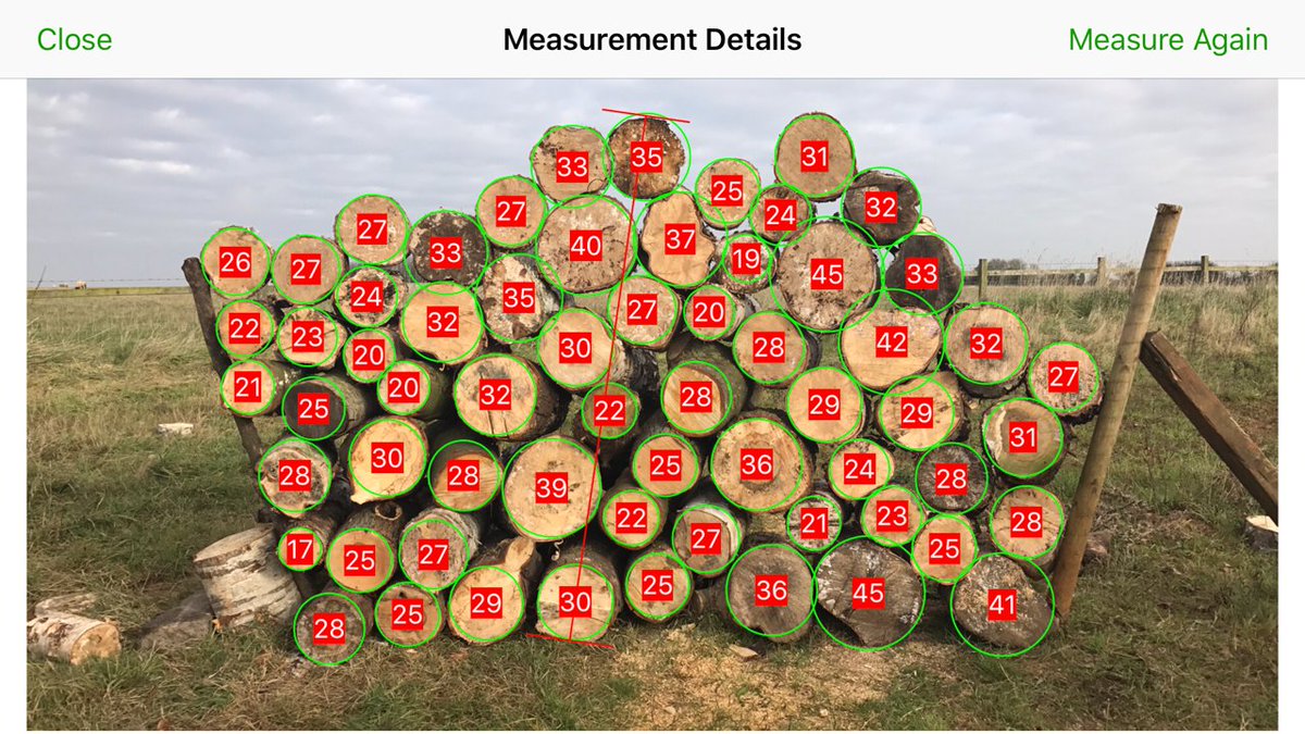 MoultonCollege's tweet photo. Our #arboriculture students used the @Timbeter app today to measure #timber volumes. #TimberIndustry #ForestryTechnology #Timbeter #Startup https://t.co/BvEEYmrSn2