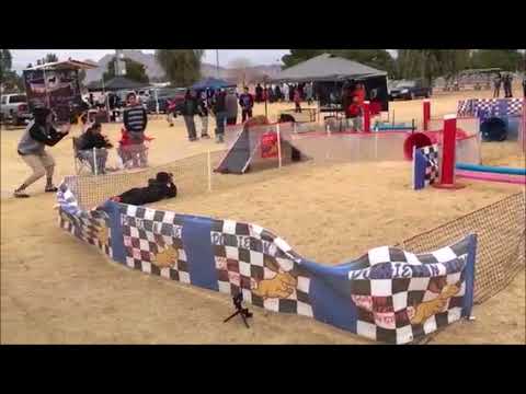 AmazingFunnyVi2's tweet photo. Run! Jump! Fight! Sports and Dogs!【Funny Dogs Compilation】 - https://t.co/Cf4Vw9BAVP https://t.co/pDwydPNfDN
