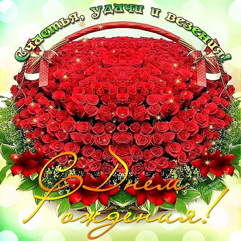 Розы картинка с днем рождения, стихами февраля