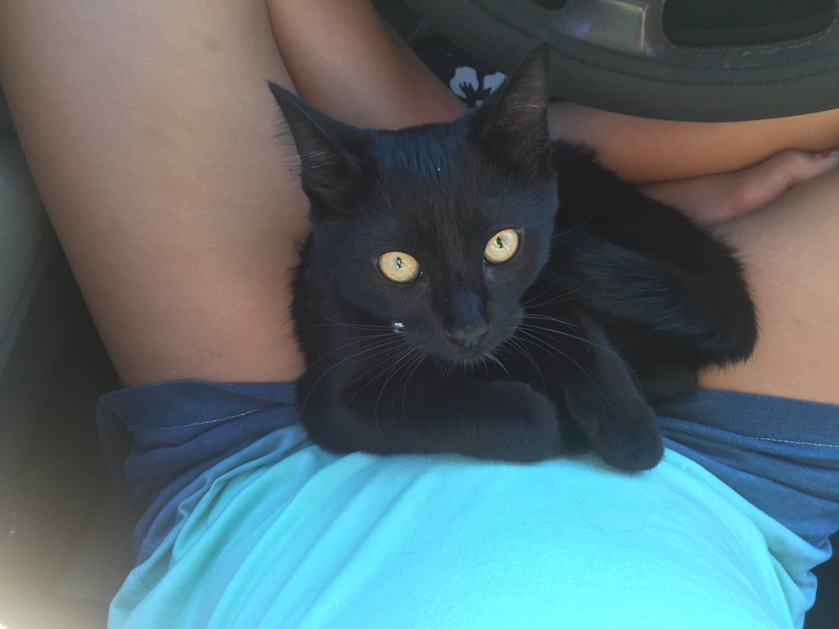 Jersey Moe tweet media