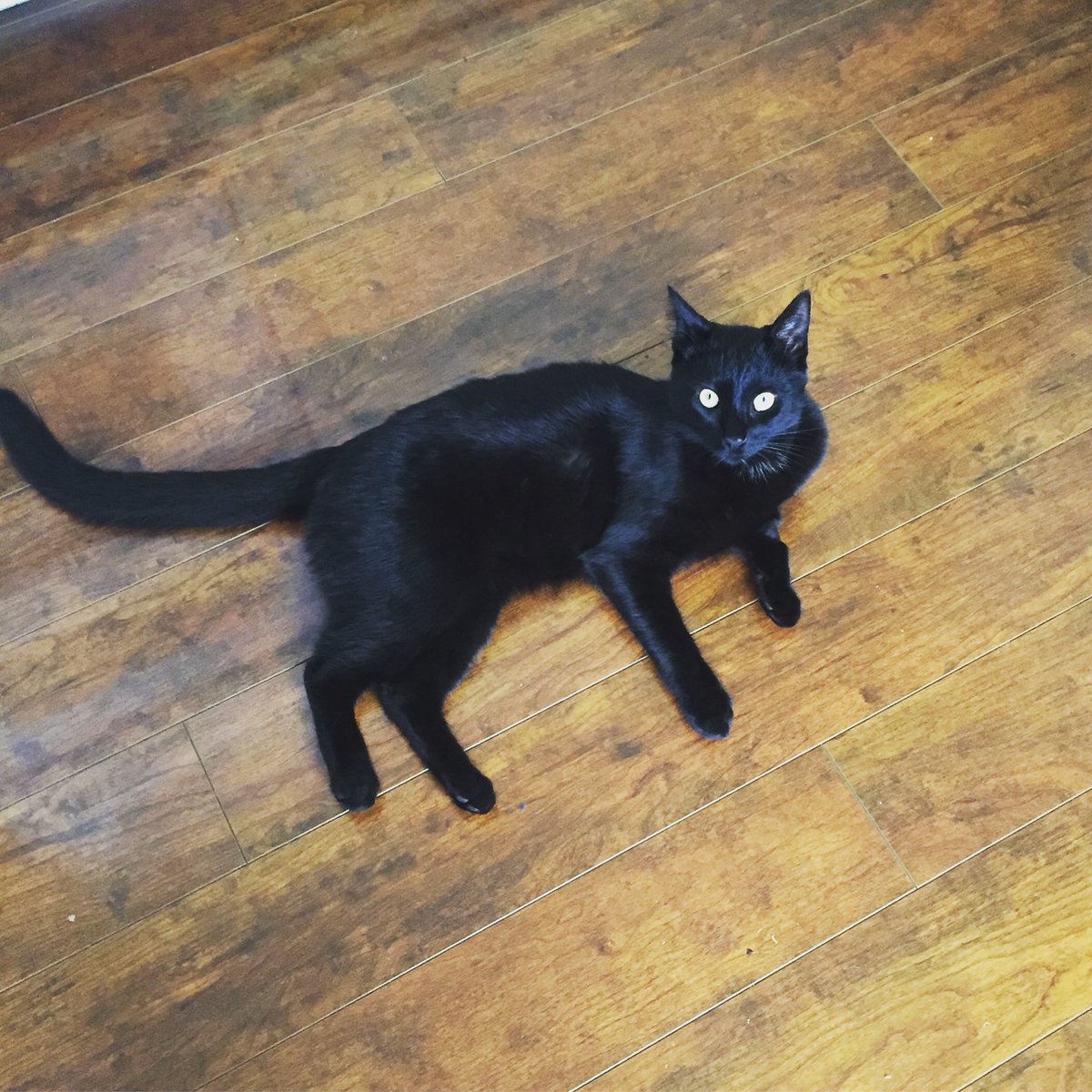 Jersey Moe tweet media