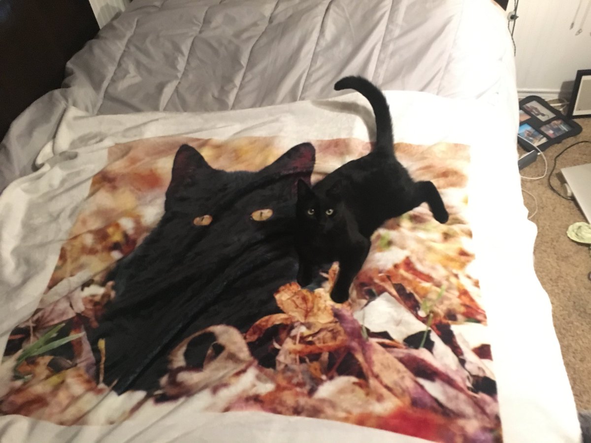 Jersey Moe tweet media