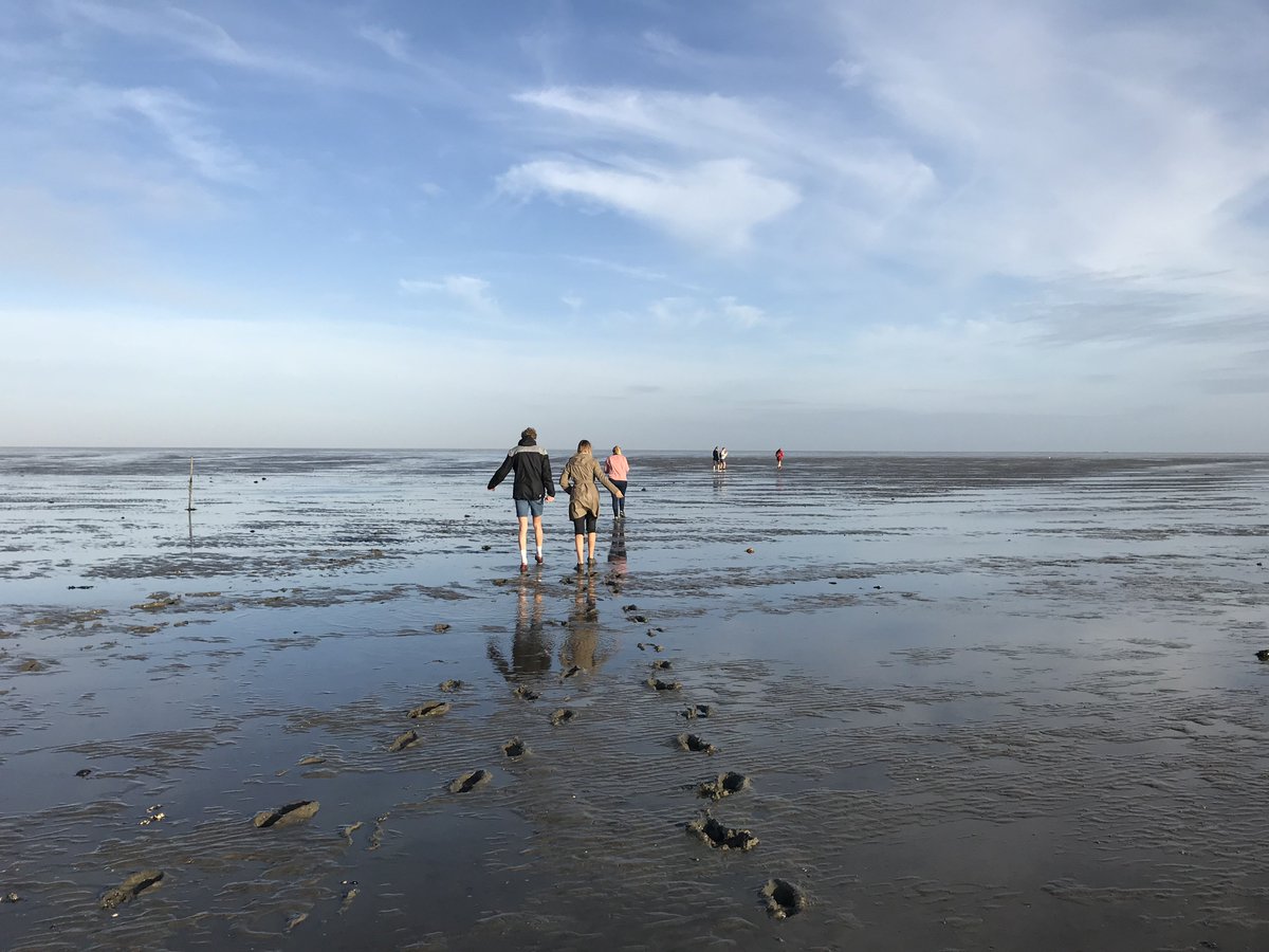 Wadlopen? Baggeren door de modderen of ook echt genieten?
bijzonderplekje.nl/blog/eropuit-w… <a href="/frieslandtips/">visitfriesland</a>