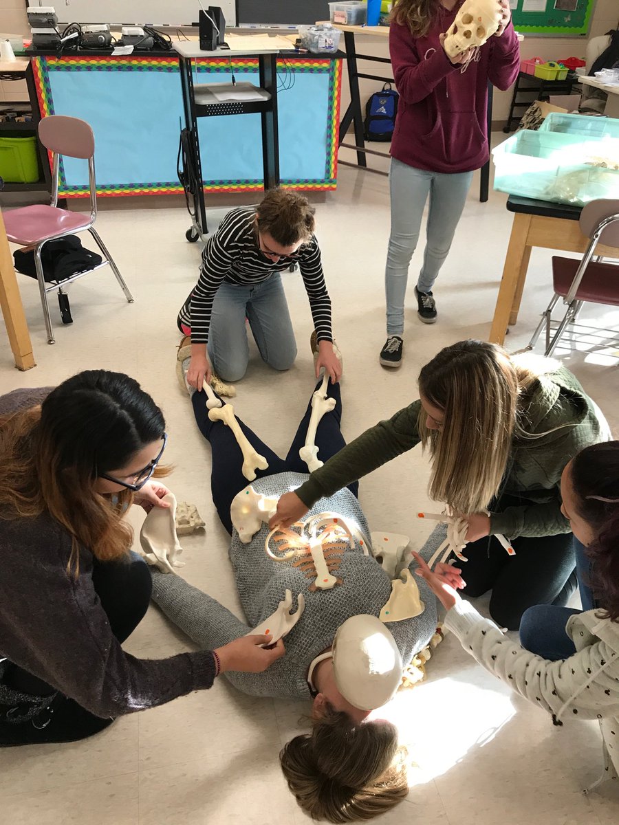 ScienceKMS's tweet image. The hip bone is connected to...a fun halloween week challenge in Boost!  @Principal_Homen