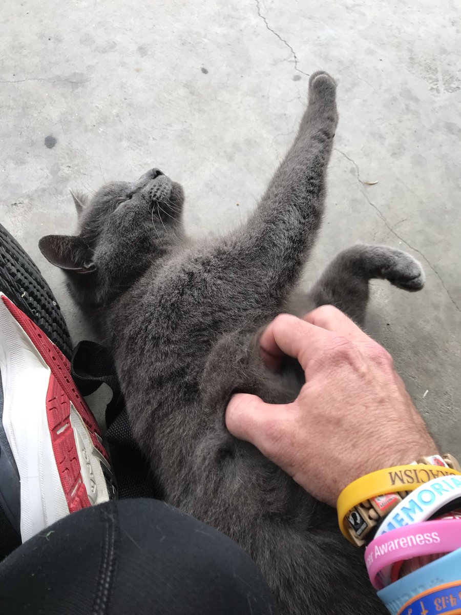 Tupelonewsguy's tweet image. Friday bootcamp. And cats  # allforJESUS #fitnessisfun #catshelp