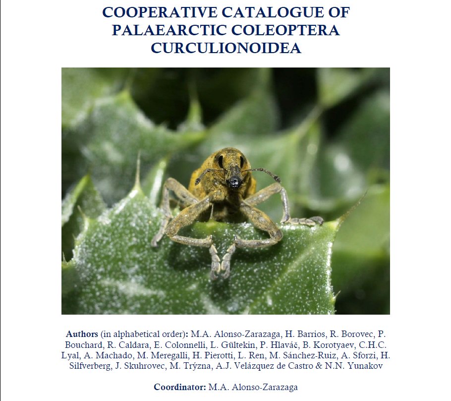 Catálogo Curculionoidea paleárticos publicado Alonso-Zarazaga et al
<a href="/SEA_Entomologia/">Sea-Entomologia.org</a> #Coleoptera #insectos #weevils
sea-entomologia.org/PDF/MeSEA_8_Ca…