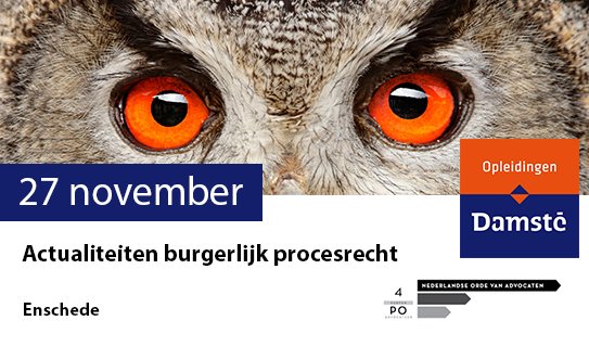 damsteopleiding's tweet image. Verdiepingscursus actualiteiten burgerlijk procesrecht: ow.ly/les630gfiKm #civiel #KEI  #pocursus #advocatuur #procesrecht