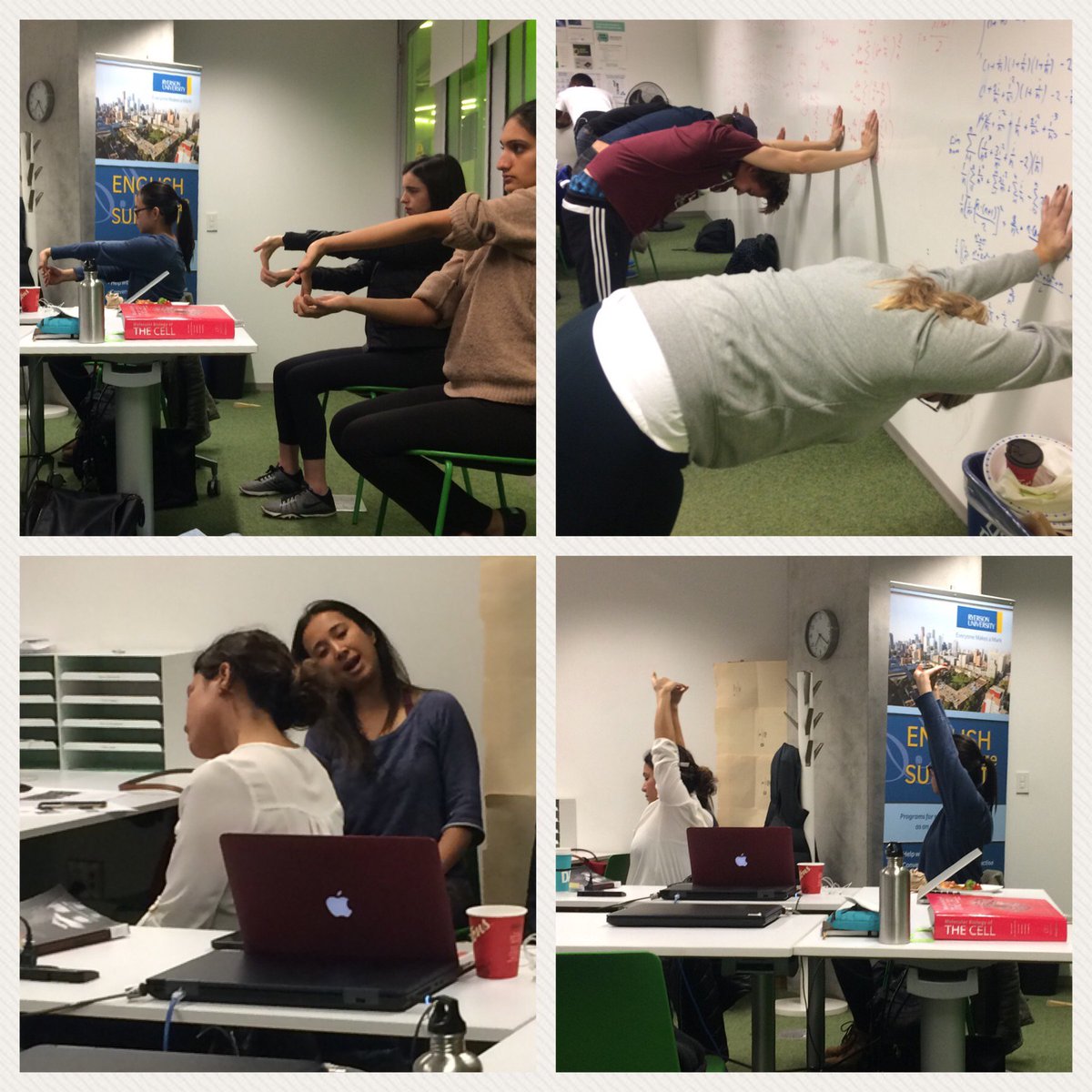 recreationtmu's tweet photo. Long Night Against Procrastination #LNAP2017 last night at the SLC! Some meditation and yoga = happy body & mind! #StudentLearningSupport https://t.co/aLoaFbKhdH