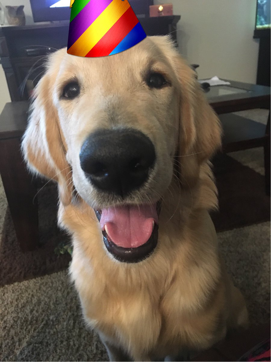AMCofC's tweet photo. JOIN US TODAY FOR OUR OPEN HOUSE FROM 4:00 - 7:00PM! Bring the entire family for food, fun and much more! https://t.co/tVKWHtUBz1