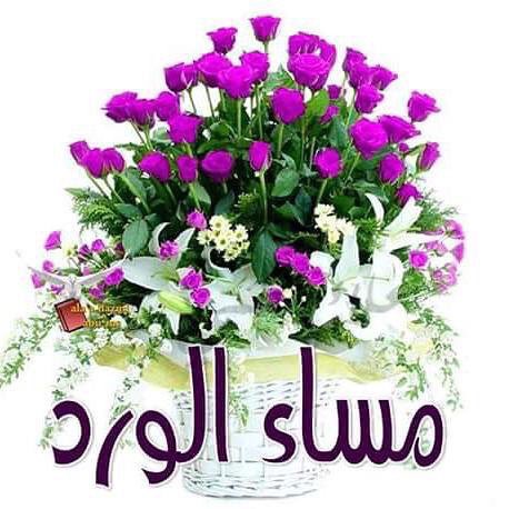 khaled77721791's tweet photo. @GRAEDA4 @huriataleayn4 @EssamFouad18 @aliAllshahbar @Zahratzahra https://t.co/cvzinMdYp0