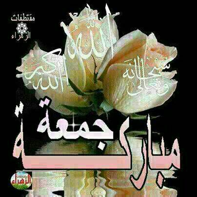 khaled77721791's tweet photo. @MoniSilo https://t.co/6wqqWRpWK6
