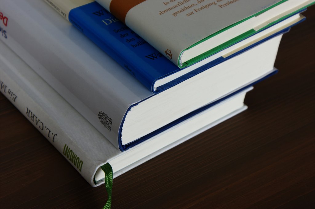 BuchPerspektive's tweet photo. Zwei Bücher gleichzeitig lesen https://t.co/zqBtiMWSO7 https://t.co/t9lxrl458a