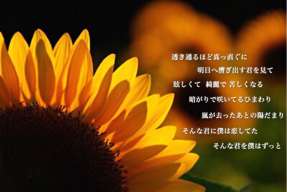 いきモフ いき充様々 در توییتر 夜中の歌詞画 Himawari 1mmでもいいなと思ったらrt 保存時はコメ Mr Children いきモフ いき充様々 در توییتر 夜中の歌詞画 Himawari 1mmでもいいなと思ったらrt 保存時はコメ Mr Children