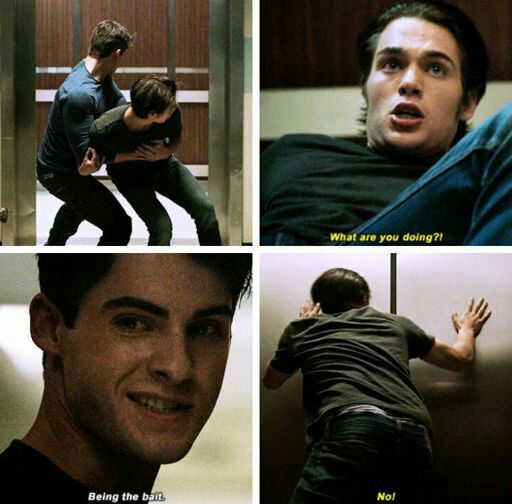 TeenWolfThiam's tweet photo. Anyone remember the #Thiam moment above all Thiam moments? The one that made our ship a canon ship
#TeenWolf #CodyChristian #DylanSprayberry https://t.co/SFJQgJ82hx