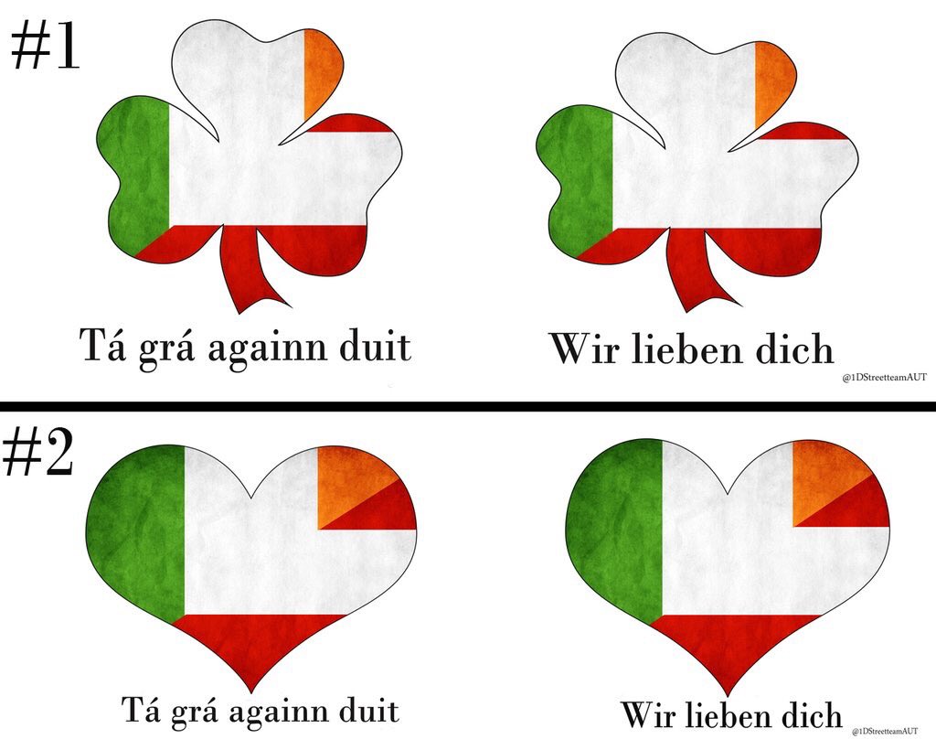 1DStreetteamAUT's tweet image. 🇦🇹 Fanprojekt für #FlickerWorldTourVienna  / Fanproject for Niall in Vienna 🇦🇹