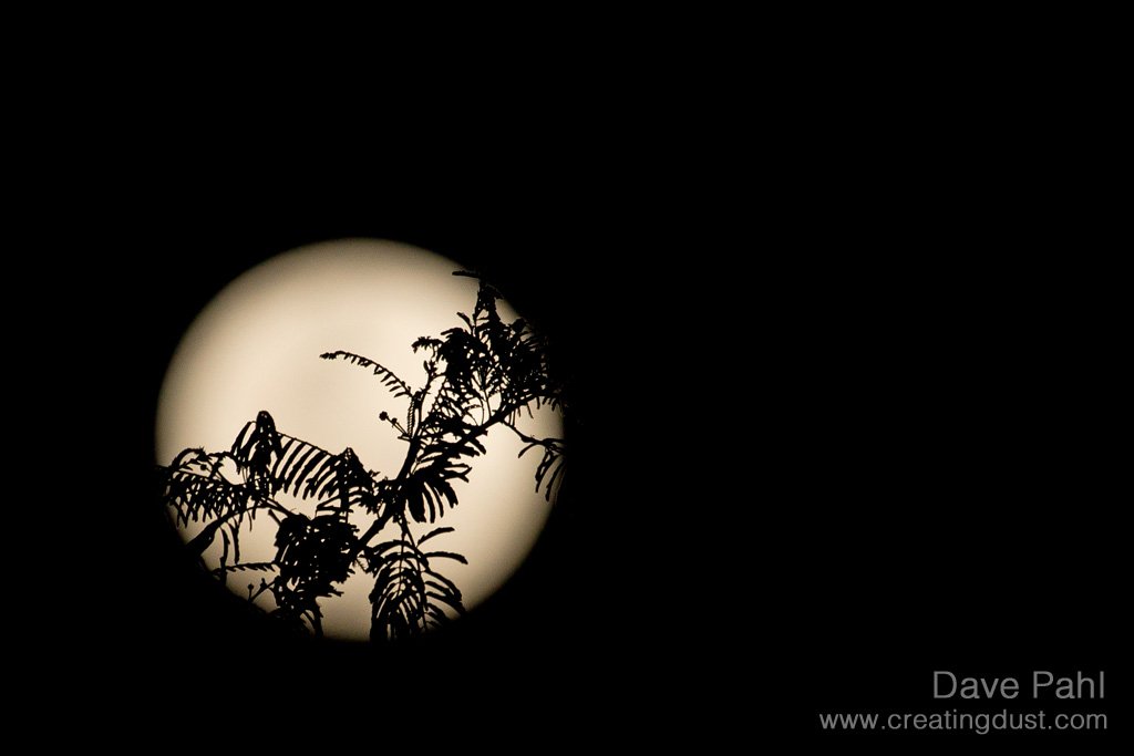 felixfsantistev's tweet photo. RT https://t.co/yoL8Nllpbq Beautiful moon over the Lowveld tonight ... #beautifulmoon #naturephotography #atimeto… https://t.co/dF34kmz0HX