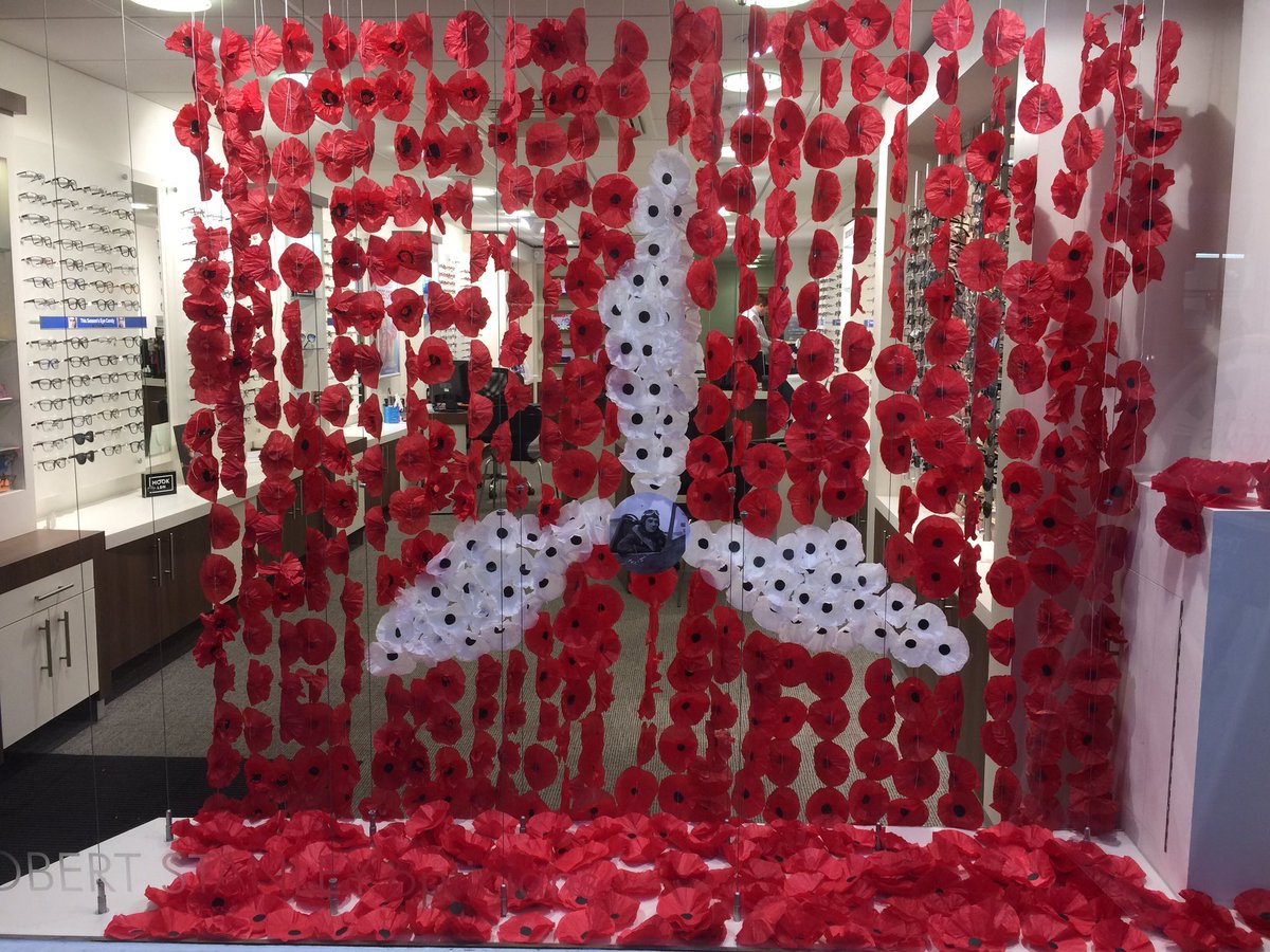 theabingdontaxi's tweet photo. an interesting artistic use of #Whitepoppy in  #Remembrance display in window of Stanley's opticians on Stert Street #Abingdon this year https://t.co/OAm8uddst4