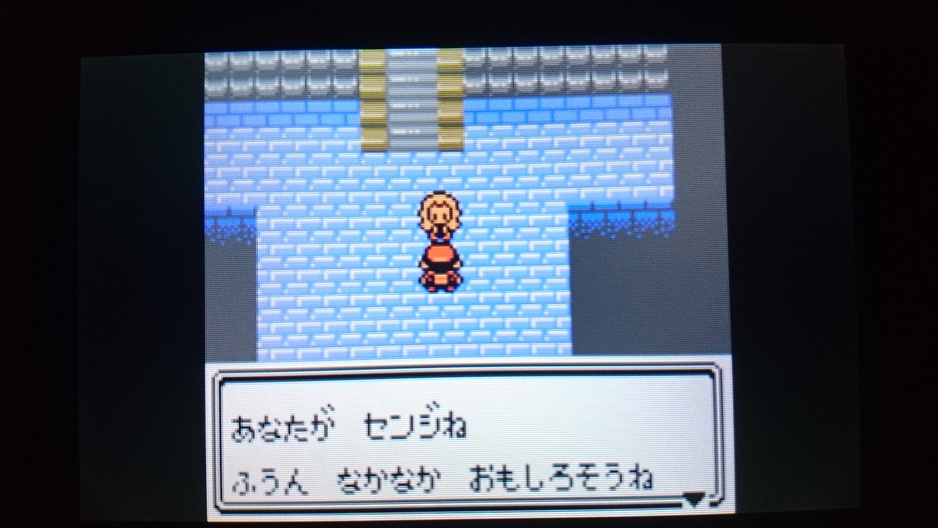 センジ こういうこと言ってるのは何もカリンさんだけじゃないんだよ 好きのパワーでポケモンと付き合ってるトレーナーばっかりだよ ポケモン金銀 T Co 9pgxhlm9dd Twitter