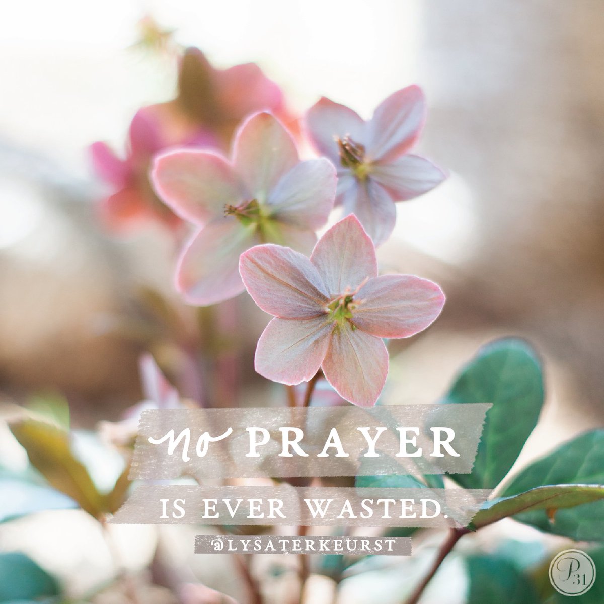 LysaTerKeurst's tweet photo. We can kneel with humble confidence knowing that the tremors of a simple Jesus girl’s prayers extend far wide &amp; far high &amp; far deep. https://t.co/oUfn27Ue1i