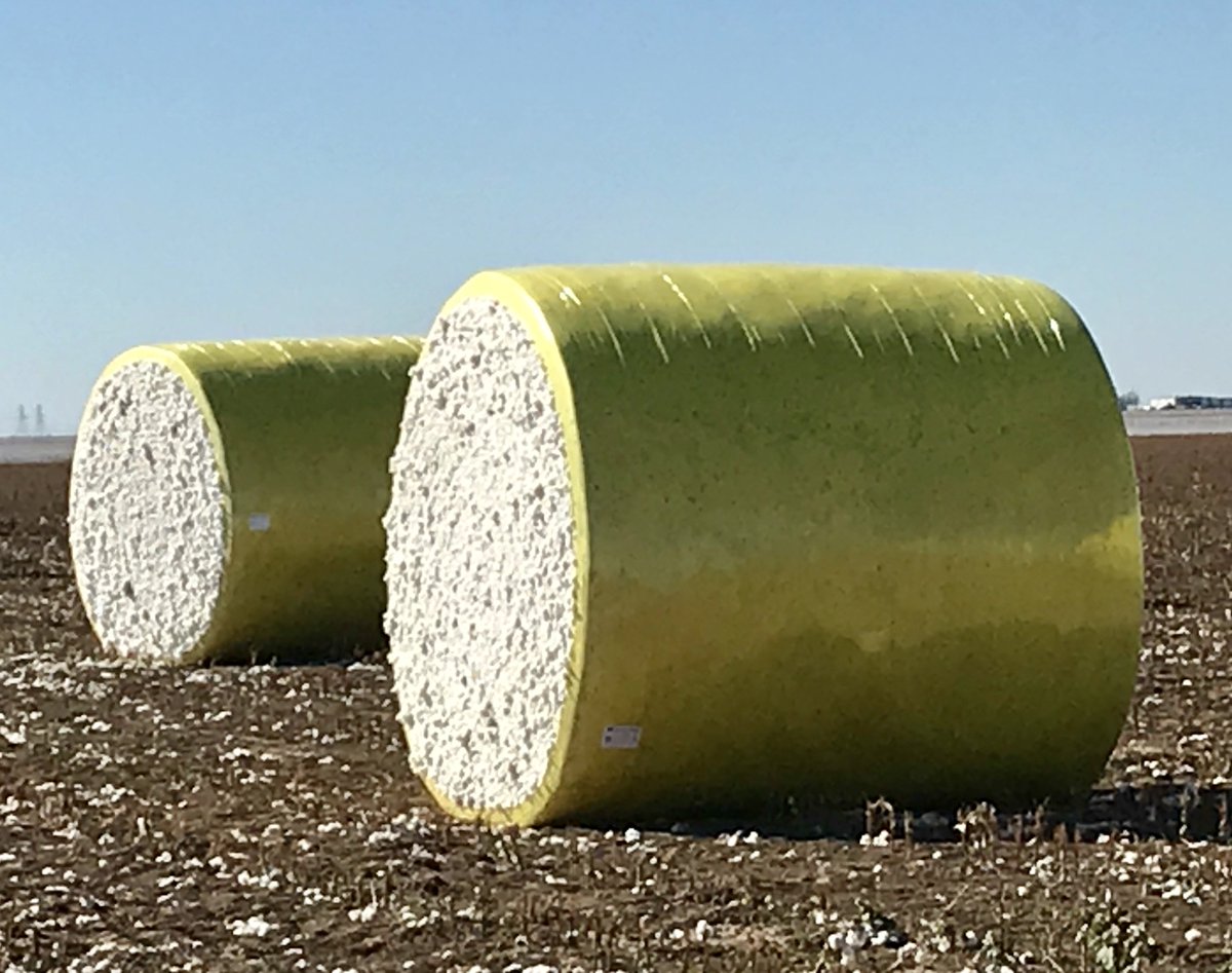 SweetwaterTXedc's tweet photo. #Cotton in #WestTexas #agriculture #community #modulebuilding #new and #old style https://t.co/Moddrf6nda