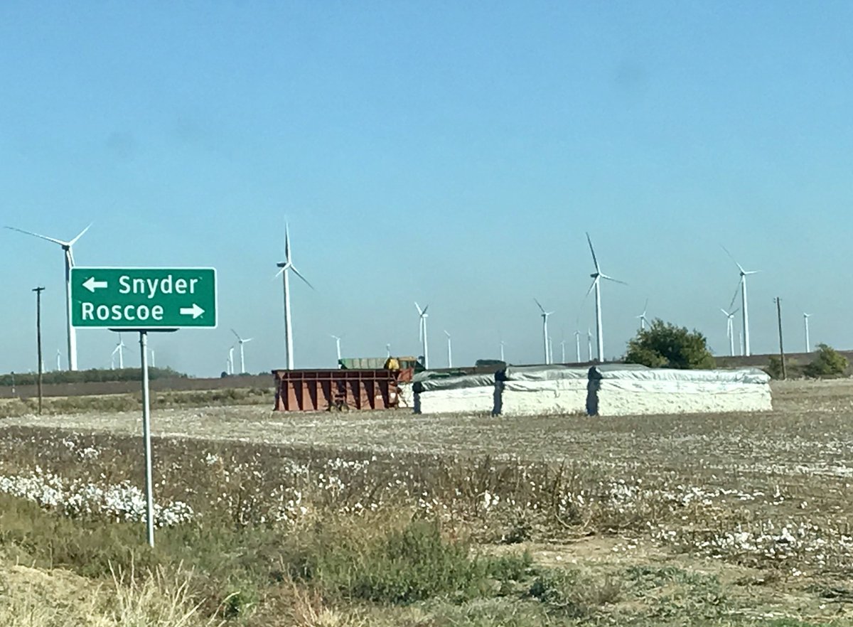 SweetwaterTXedc's tweet photo. #Cotton in #WestTexas #agriculture #community #modulebuilding #new and #old style https://t.co/Moddrf6nda