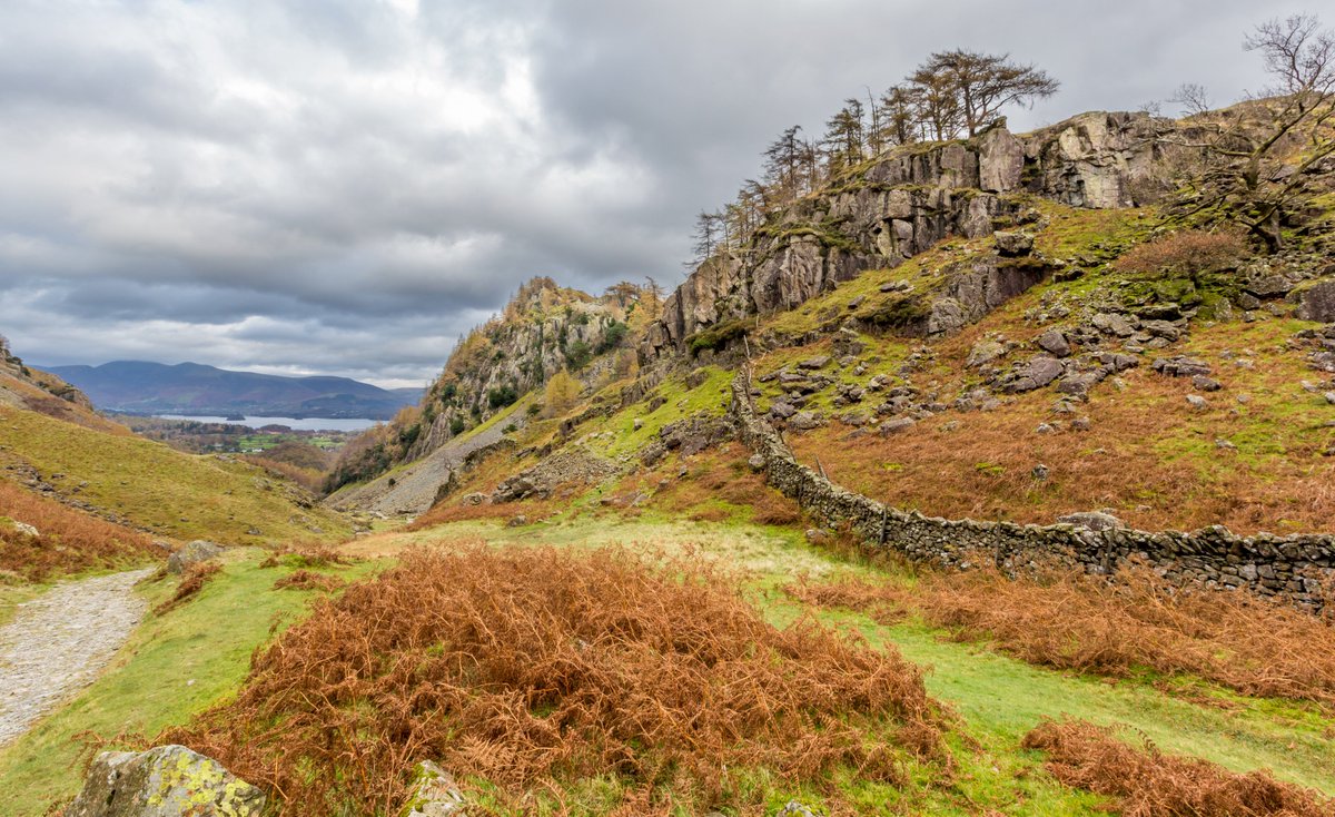 steve read tweet media