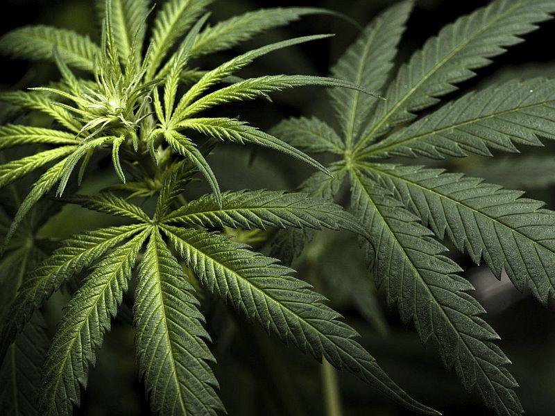 LISTEN: What The Governor's Marijuana Commission Has Determined So Far dlvr.it/Pz4kQ4 https://t.co/XAtj0nUC8n