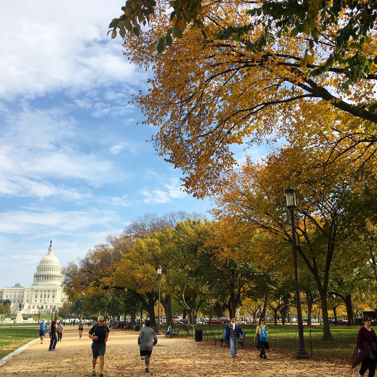 Fall on The Mall — beautiful afternoon! #dc
